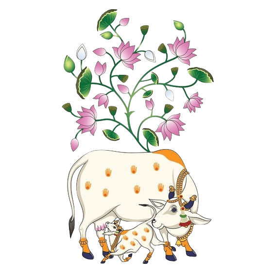 Cow Illustration